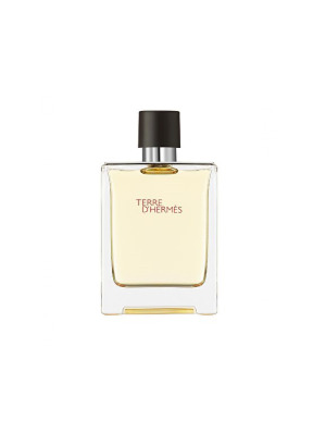 Terre d’Hermès EDT 100 ml Erkek Parfüm